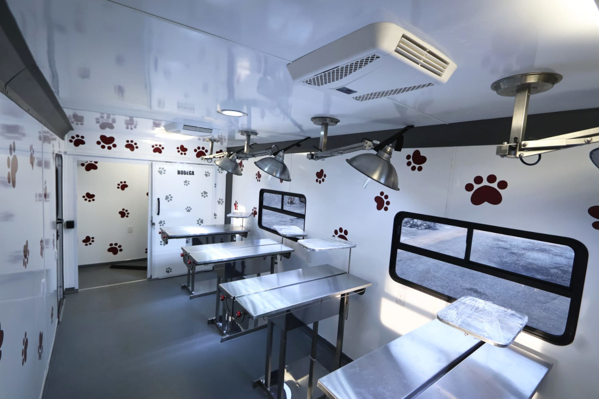 Nueva unidad para esterilizar perros y gatos en Toluca.