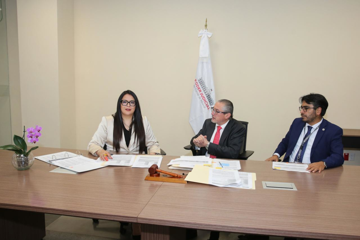Tribunal de Disciplina del Edoméx.