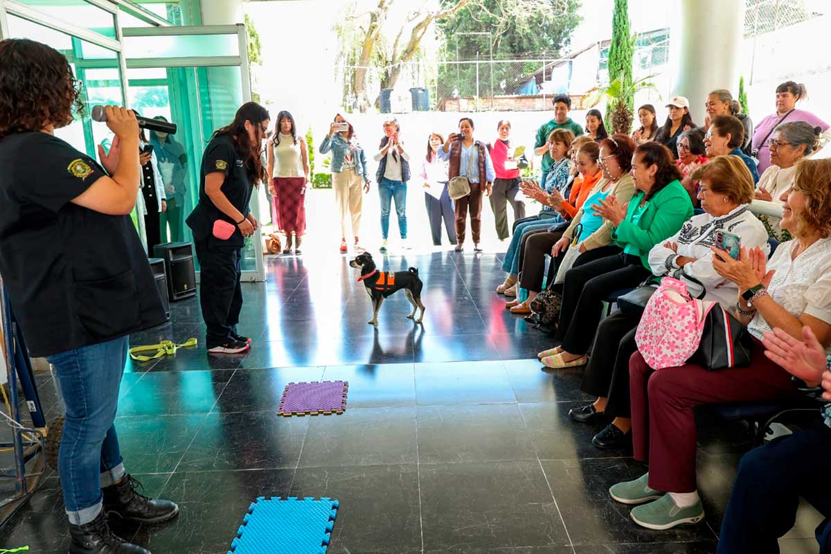 Talleres para adultos mayores de la UAEMéx.