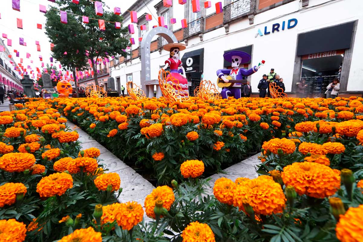 Toluca inaugura la Feria y Festival del Alfeñique 2026.