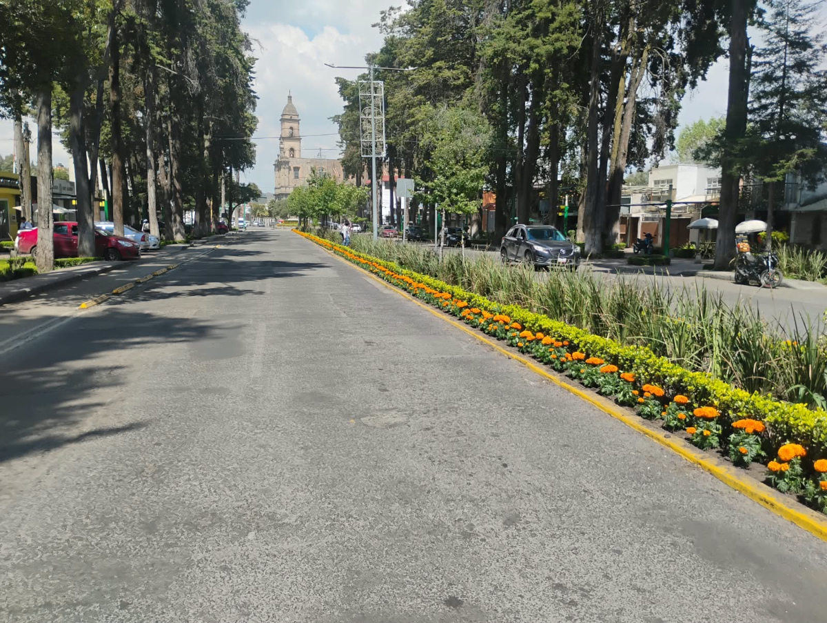 Toluca decarada por flores de cempasúchitl durante el Día de Muertos.