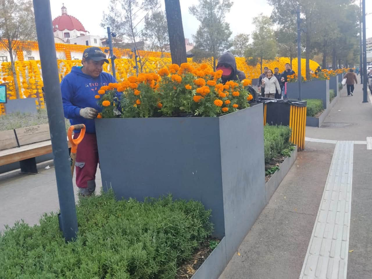 Toluca decarada por flores de cempasúchitl durante el Día de Muertos.